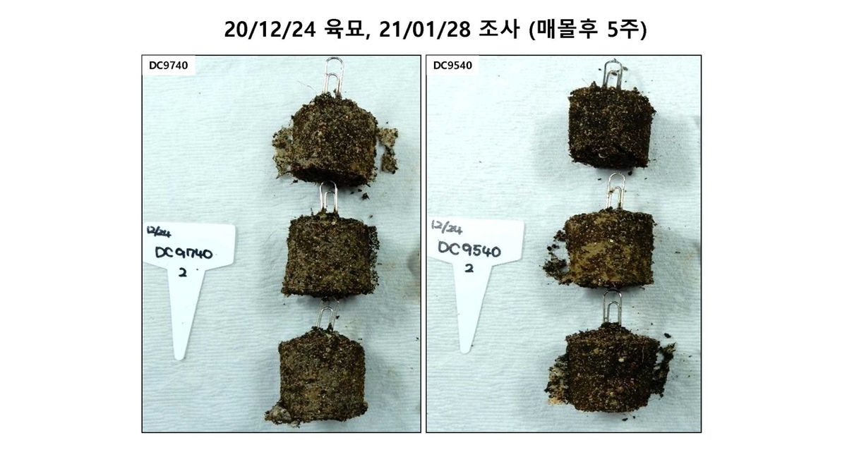DC9740, DC9540 soil burial test5