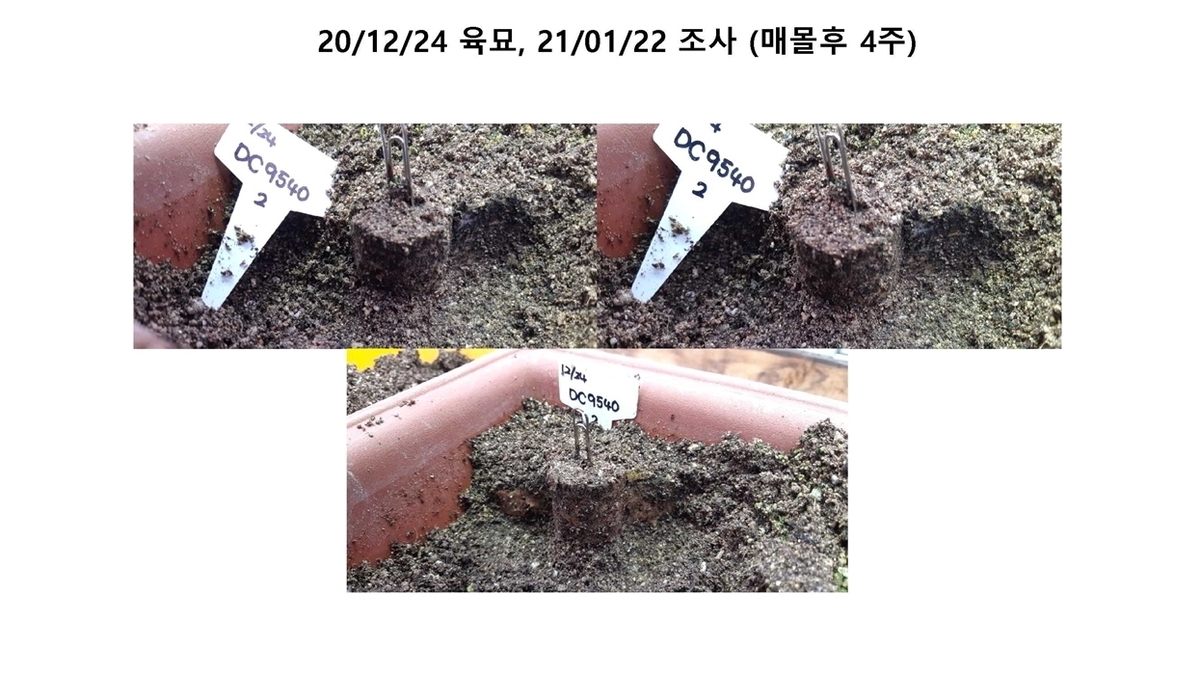 DC9740, DC9540 soil burial test4